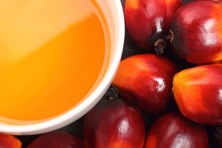 Tin tức nguyên liệu công nghiệp 25/08